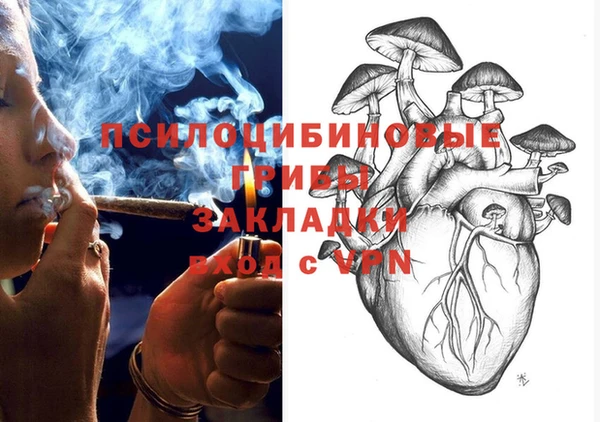 мет Арсеньев
