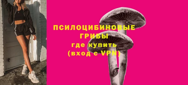 мет Арсеньев