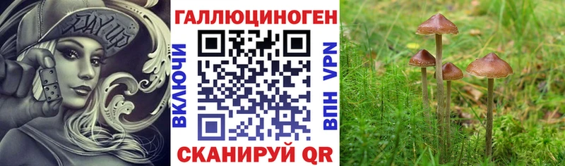 ОМГ ОМГ tor  Сенгилей  Галлюциногенные грибы Magic Shrooms 